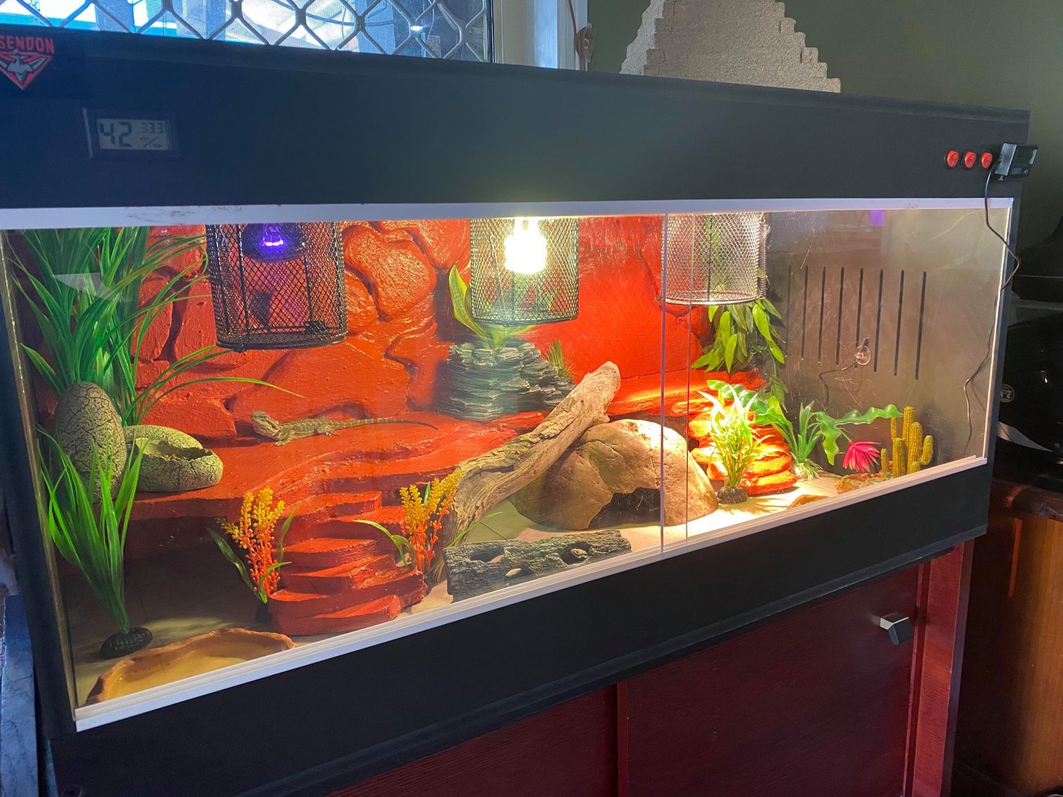 PVC Reptile Enclosure 60 cm x 40 cm x 40 cm with Thermostat Madee's Pet Supplies
