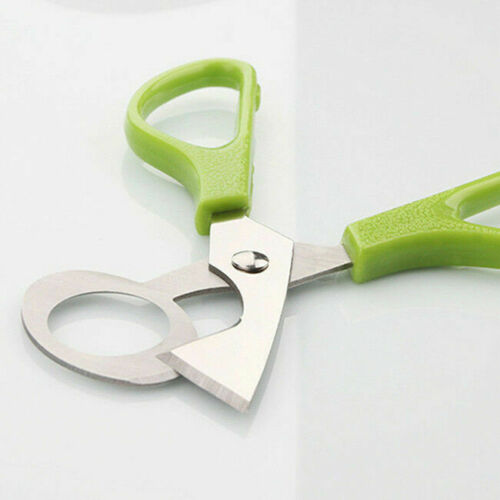 Quail Egg Scissors Madee's Pet Supplies