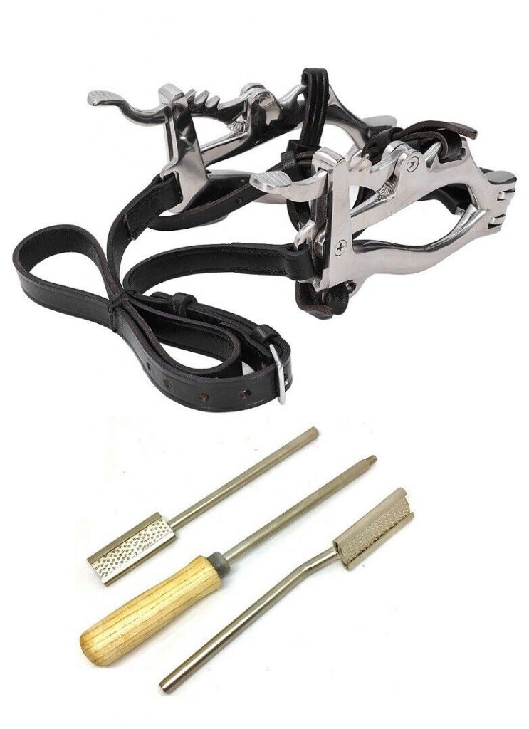 Equine Horse Dental Mouth Gag Speculum Stainless Steel with Dental